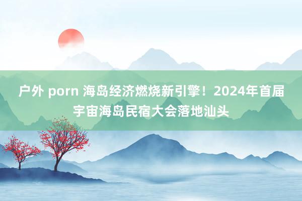 户外 porn 海岛经济燃烧新引擎！2024年首届宇宙海岛民宿大会落地汕头
