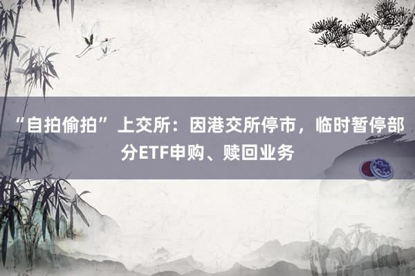 “自拍偷拍” 上交所：因港交所停市，临时暂停部分ETF申购、赎回业务
