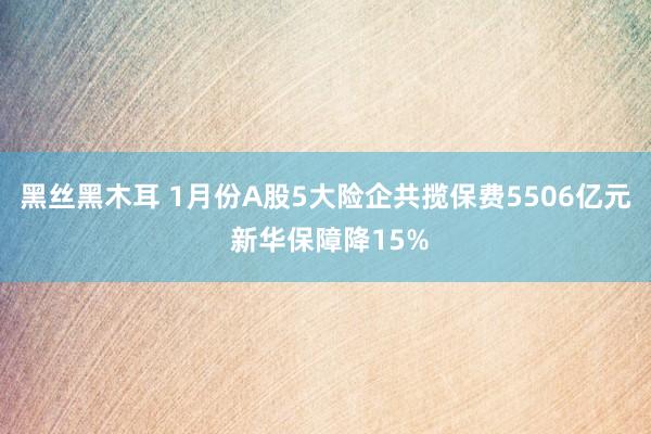 黑丝黑木耳 1月份A股5大险企共揽保费5506亿元 新华保障降15%