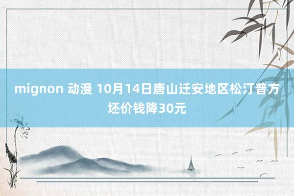 mignon 动漫 10月14日唐山迁安地区松汀普方坯价钱降30元