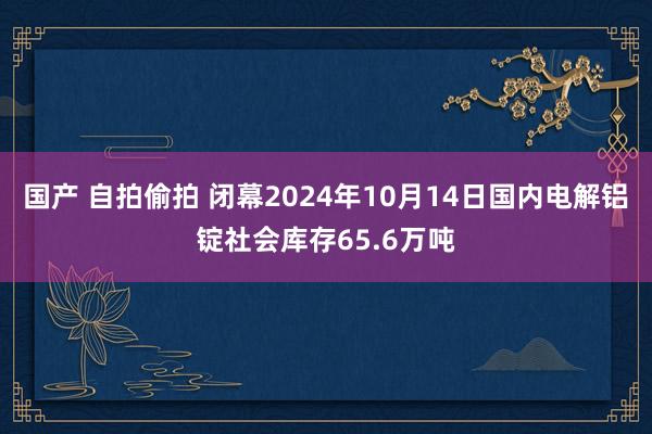 国产 自拍偷拍 闭幕2024年10月14日国内电解铝锭社会库存65.6万吨