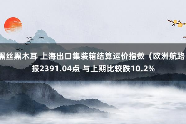 黑丝黑木耳 上海出口集装箱结算运价指数（欧洲航路）报2391.04点 与上期比较跌10.2%