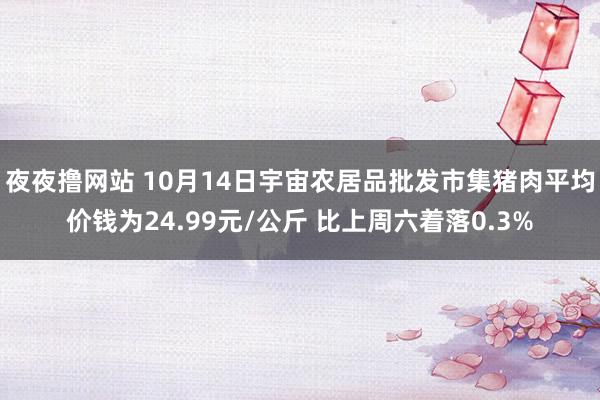 夜夜撸网站 10月14日宇宙农居品批发市集猪肉平均价钱为24.99元/公斤 比上周六着落0.3%
