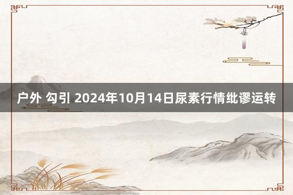 户外 勾引 2024年10月14日尿素行情纰谬运转