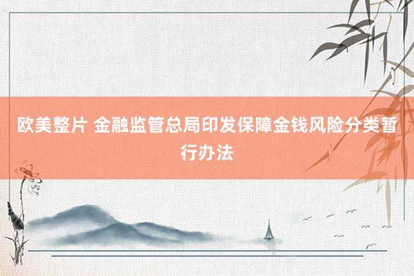 欧美整片 金融监管总局印发保障金钱风险分类暂行办法