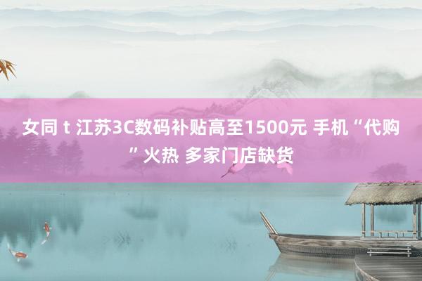 女同 t 江苏3C数码补贴高至1500元 手机“代购”火热 多家门店缺货