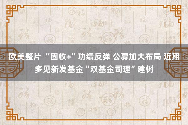 欧美整片 “固收+”功绩反弹 公募加大布局 近期多见新发基金“双基金司理”建树