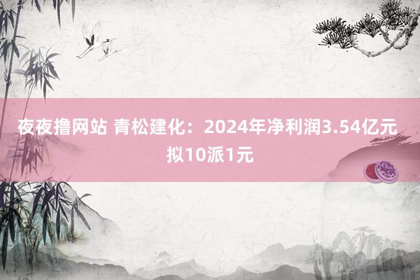 夜夜撸网站 青松建化：2024年净利润3.54亿元 拟10派1元