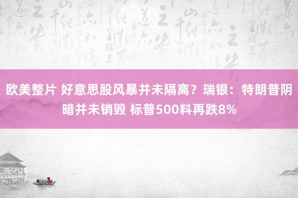 欧美整片 好意思股风暴并未隔离？瑞银：特朗普阴暗并未销毁 标普500料再跌8%