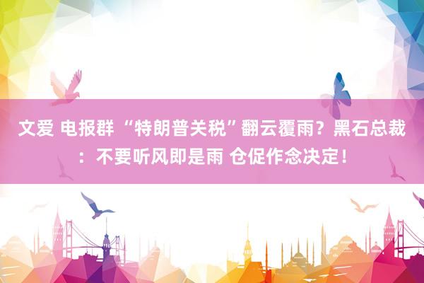 文爱 电报群 “特朗普关税”翻云覆雨？黑石总裁：不要听风即是雨 仓促作念决定！